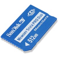 SDMSD0004.jpg