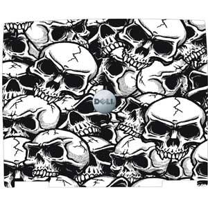 Skull Design Laptop - Dell D600 Centrino 1.6Ghz Laptop - 512Mb - 40GB ...
